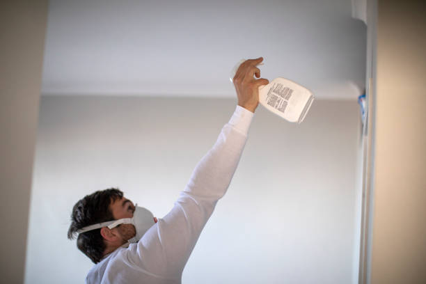 California, MO Mold Remediation Company