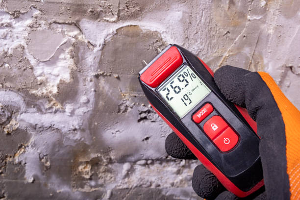 Best Kitchen Mold Remediation in California, MO