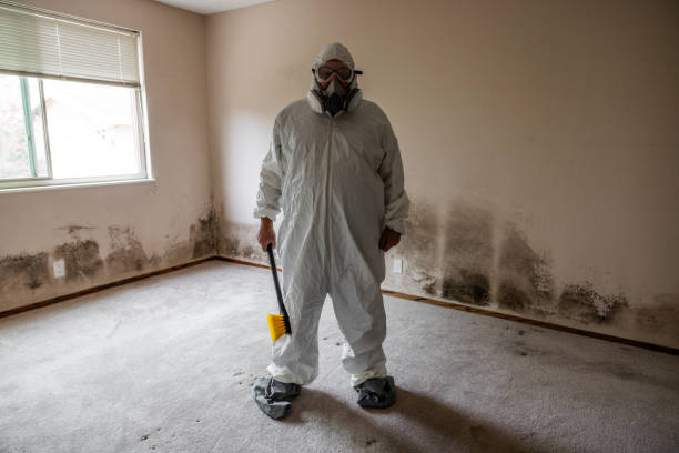 Best Mold Remediation for Specific Building Types in California, MO